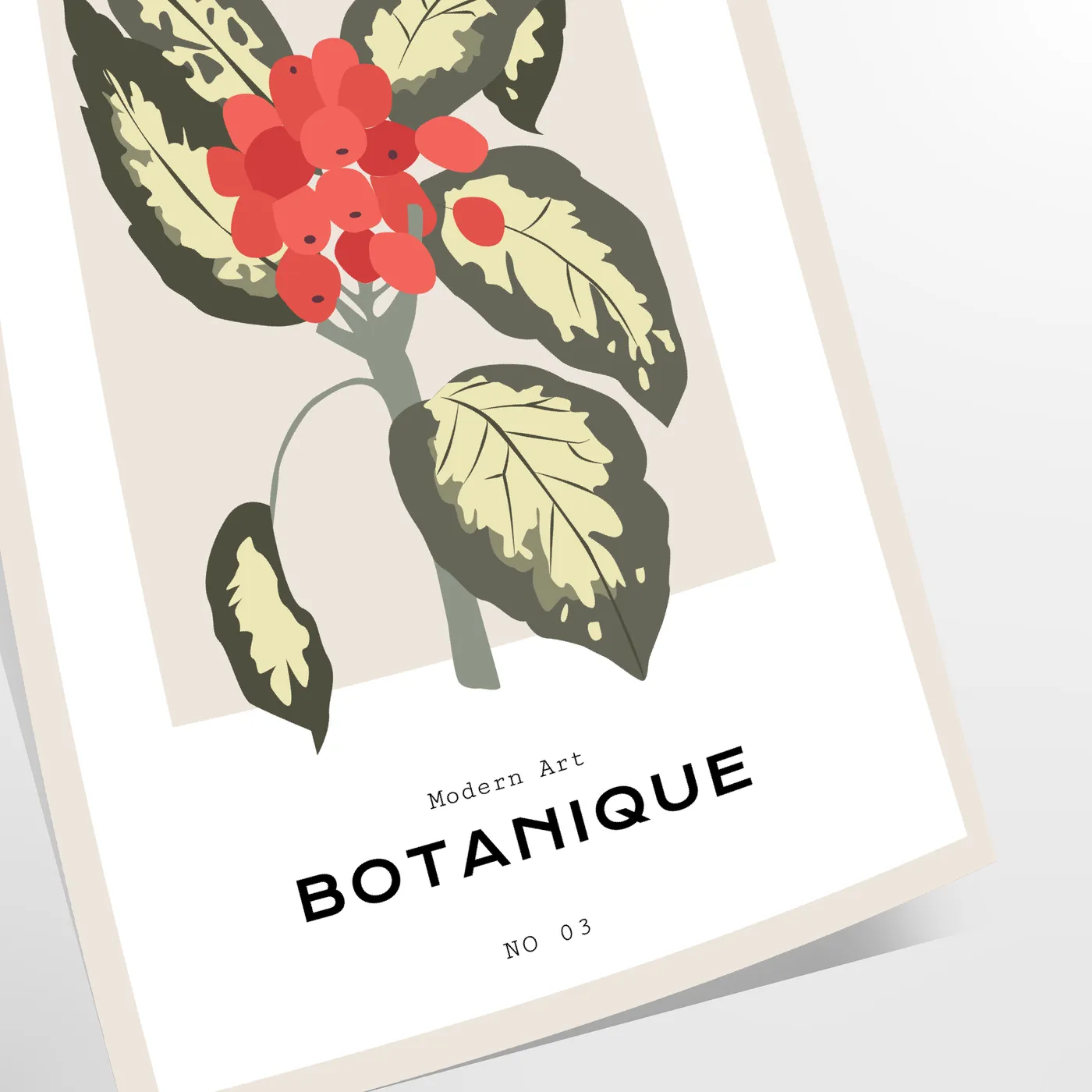 space Poster Botanical exquisite art 19th century eye wall vibrant orange soothing gray perfect gift A4 cm A0 sizes ideal decor