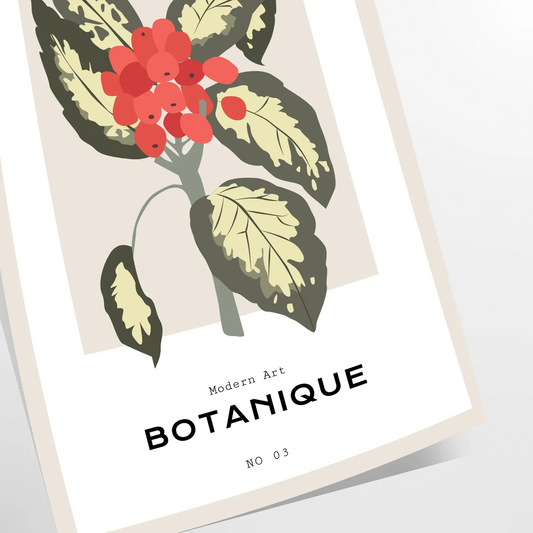 space Poster Botanical exquisite art 19th century eye wall vibrant orange soothing gray perfect gift A4 cm A0 sizes ideal decor